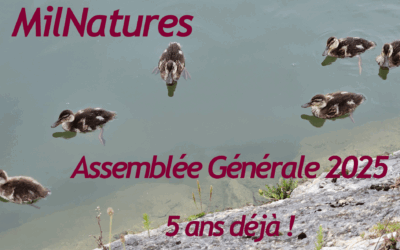 Assemblée Générale 2025